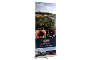 Express Lite Banner Stand